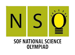 Nso Logo