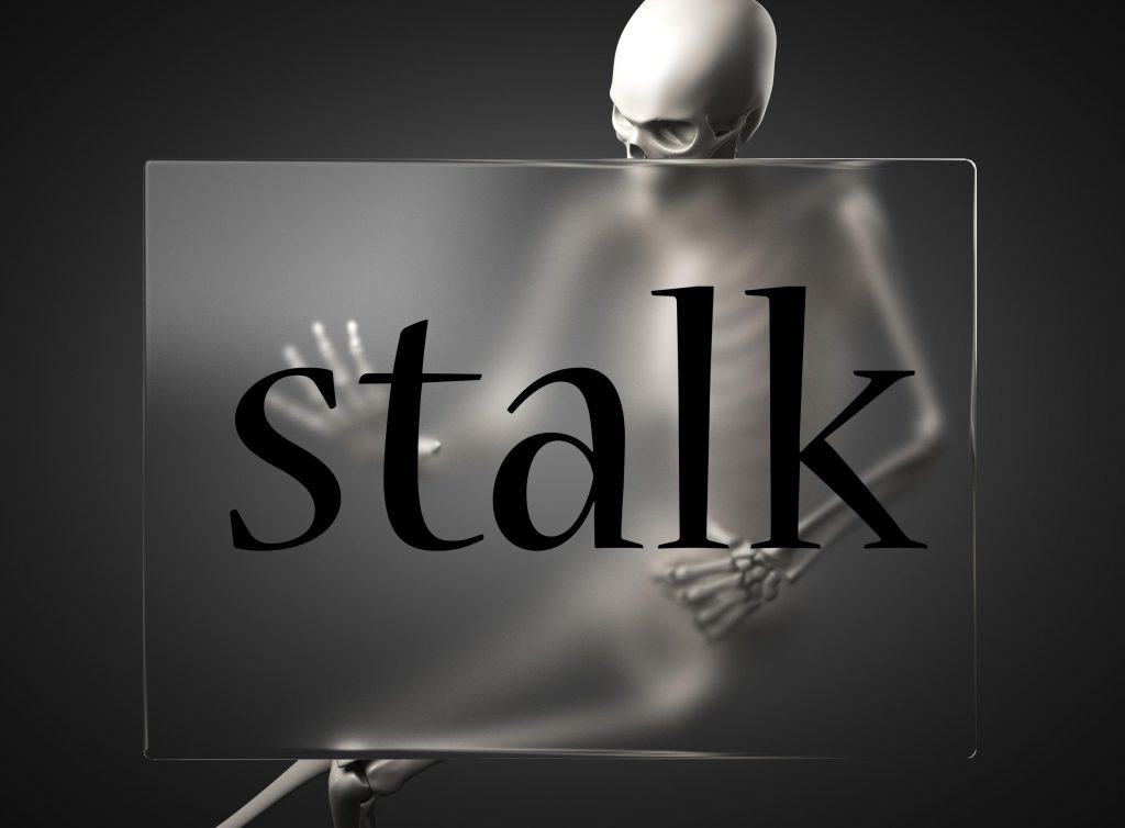 Stalk