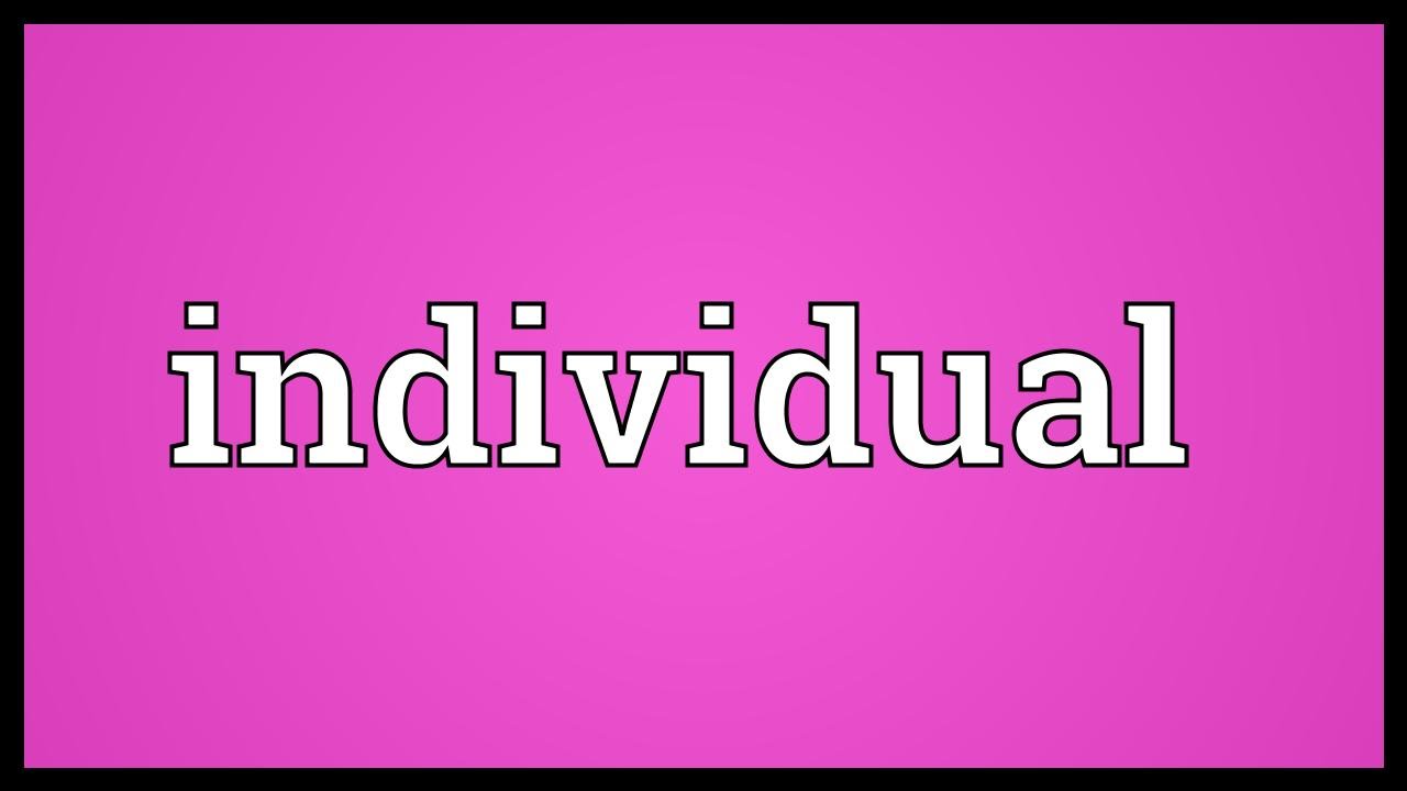 what-is-individual-meaning-in-hindi-careerguide