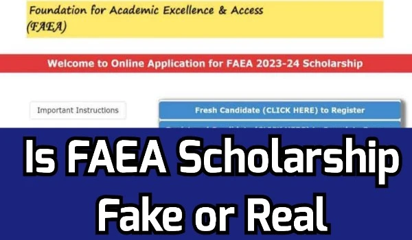 Faea Scholarship