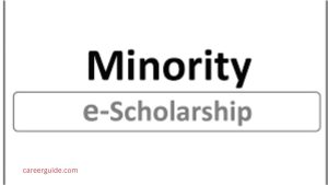 Minority Scholarship 2024
