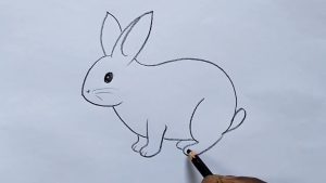 Rabbit Drawing1