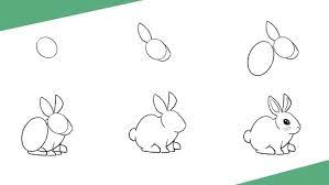 Rabbit Drawing5
