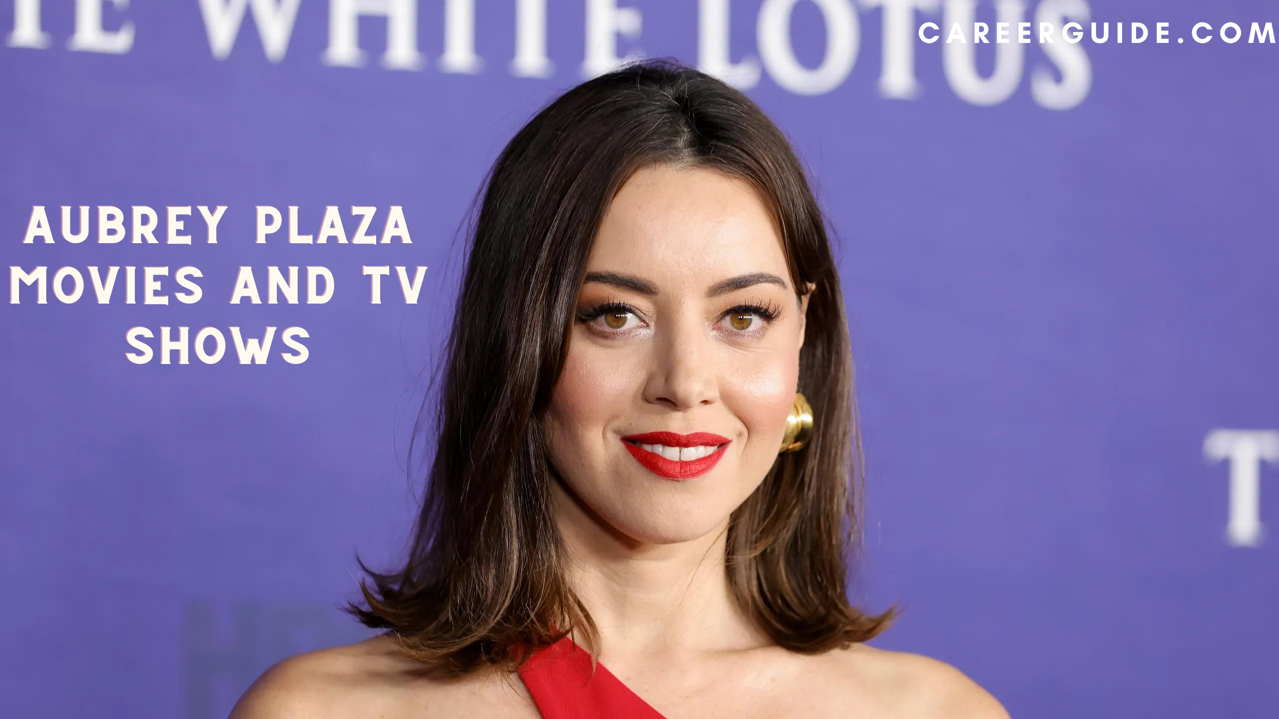 Aubrey Plaza Movies And Tv Shows