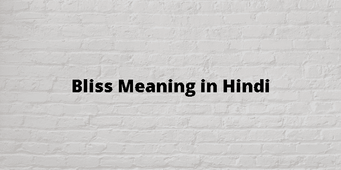 Bliss Meaning In Hindi