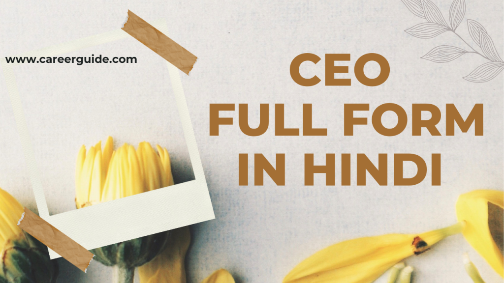 Ceo Full Form In Hindi