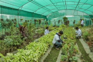 277b2b6c 01f7 4e85 98f7 1acf8884e2ba