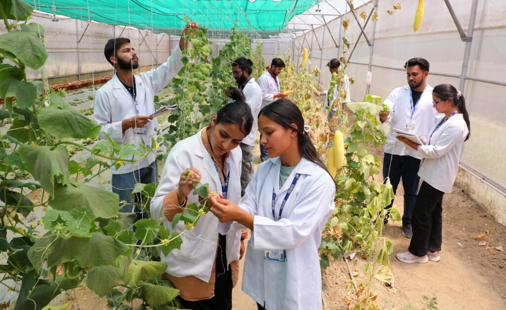 828a73e9 2acc 4a31 9608 0c0759733ac2