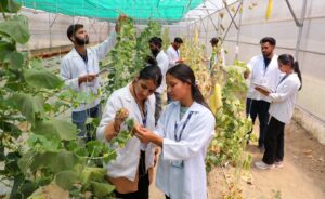 828a73e9 2acc 4a31 9608 0c0759733ac2