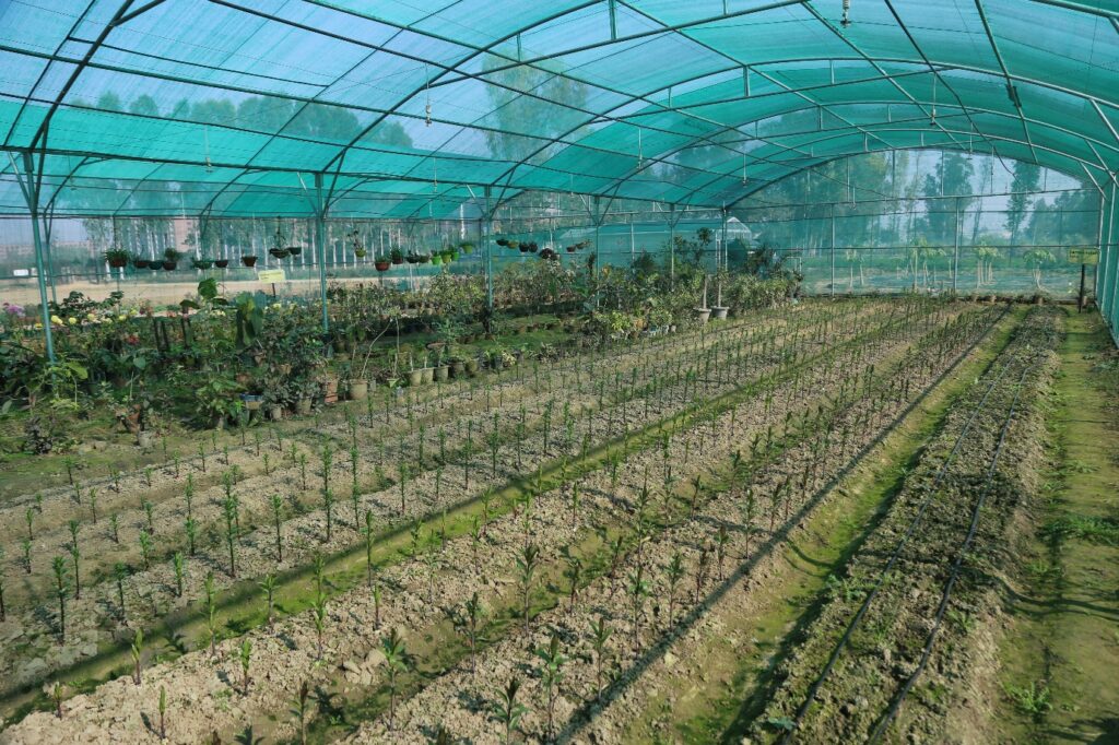 F05da52c 427f 4787 A884 4812024de3b5