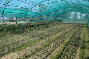 F05da52c 427f 4787 A884 4812024de3b5