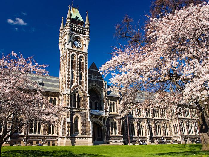 University Otago Clocktowerblossom