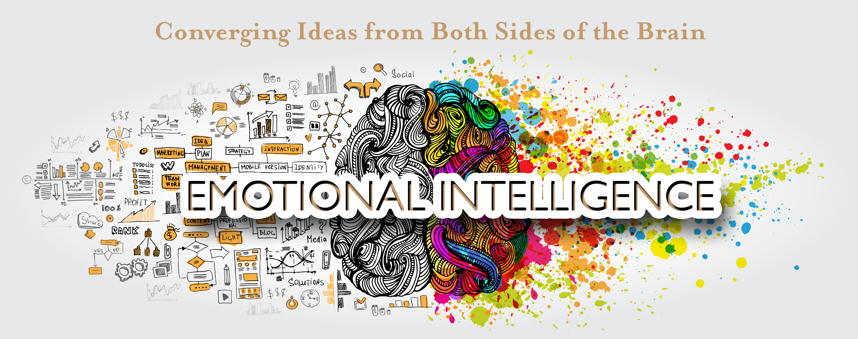 Emotional Intelligence Ei Why Is It Important Careerguide