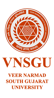 Vnsgu Logo Big