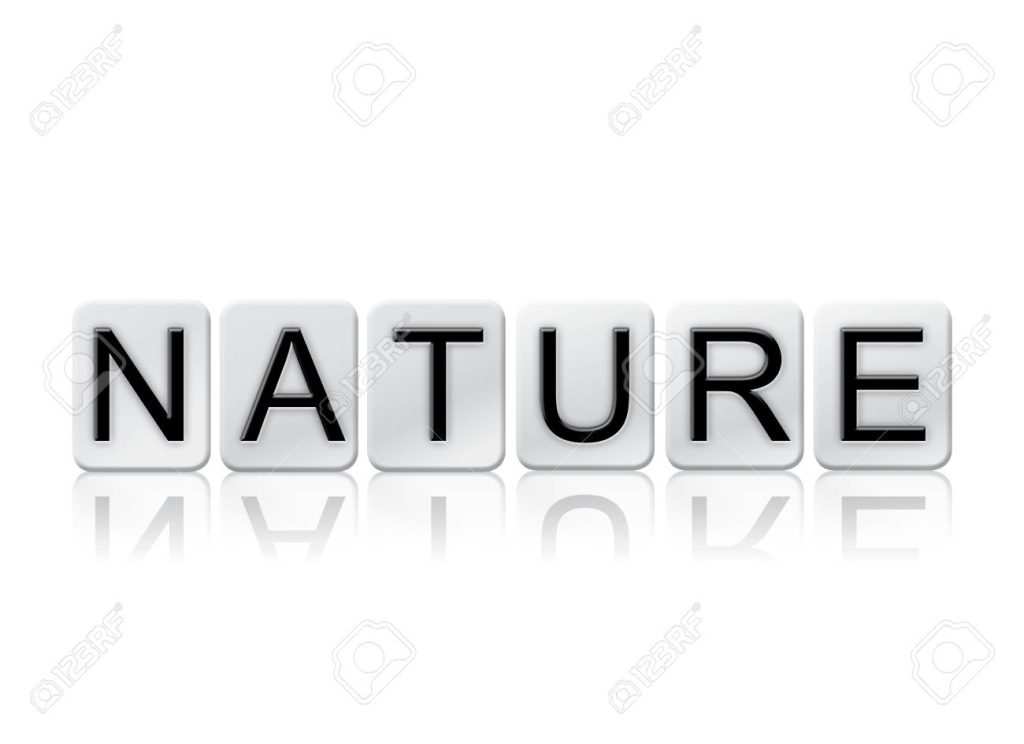 Nature Isolated Tiled Letters Concept And Theme