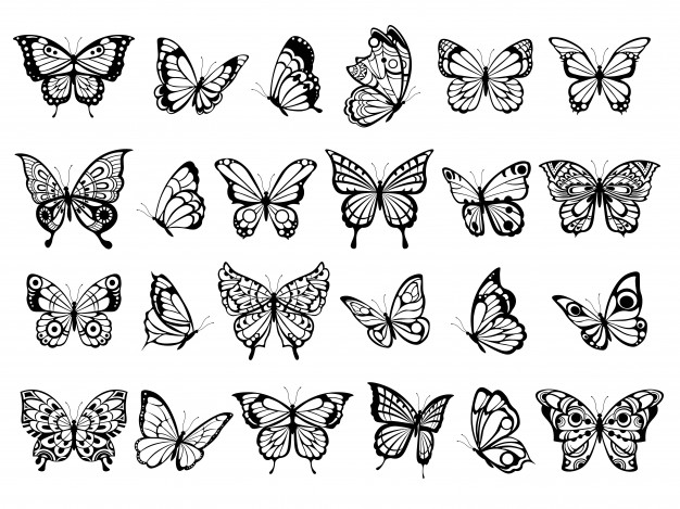Butterfly Drawing Outline | Easy Butterfly Sketch