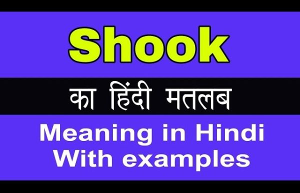 Shook Meaning In Hindi 600x386 
