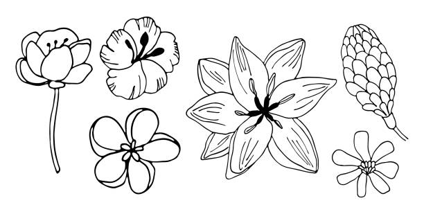Free Vector | Beautiful artistic sketch floral set