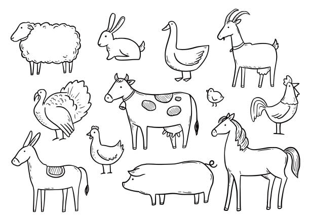 Animal Drawings : A Journey Through Animal Sketches - CareerGuide