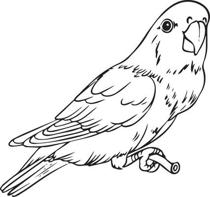 Parrot On A Branch Handmade Drawing In Black And White For Colouring Books And Your Books Vector