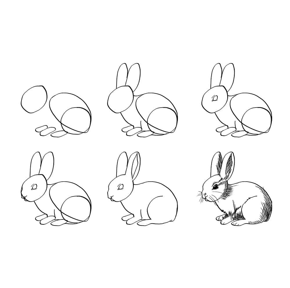Rabbit Drawing Toturial For Kids, Rabbit Drawing, Wing Drawing, Kid Drawing  PNG and Vector with Transparent Background for Free Download