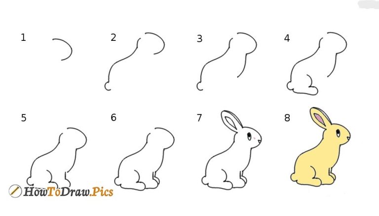 How to draw a bunny. Step-by-step drawing tutorial. | Cool pencil drawings, Drawing  tutorial, Bunny sketches