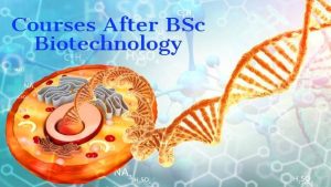 Bsc Biotech