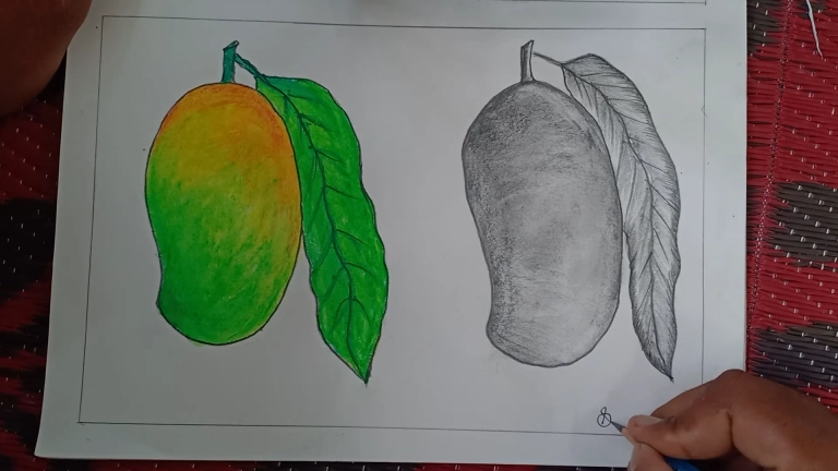 Juicy Ripe Mango With Leaves. Mango Cut. Half A Mango. Bone Mango .the  Drawing Hands. Royalty Free SVG, Cliparts, Vectors, and Stock Illustration.  Image 75913562.