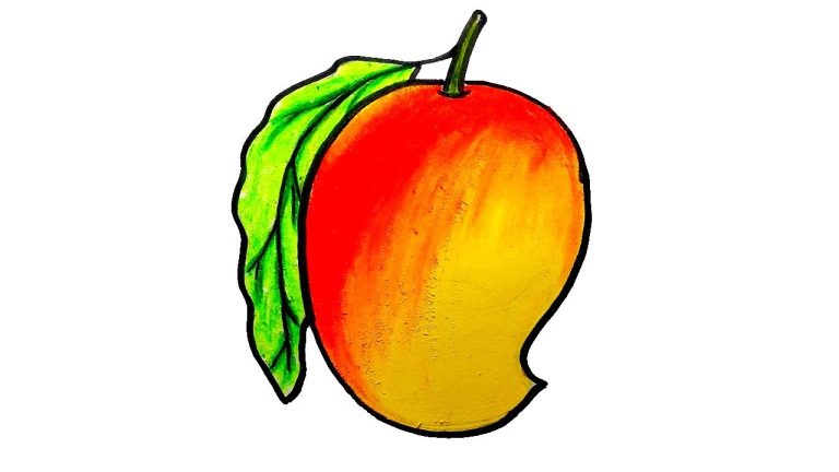 Vector mango drawing of one continuous line. Color illustration of mango in  the style of one line art 24310077 Vector Art at Vecteezy