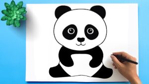 Panda Drawing1