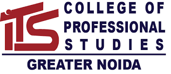 College Of Professional Studies